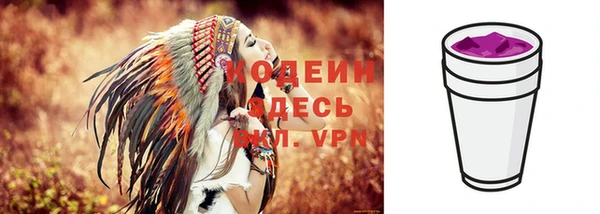 твердый Осташков