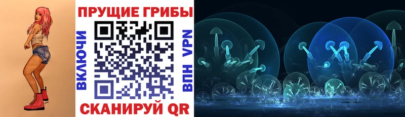 купить наркотик  блэк спрут вход  Галлюциногенные грибы Magic Shrooms  Дмитровск 